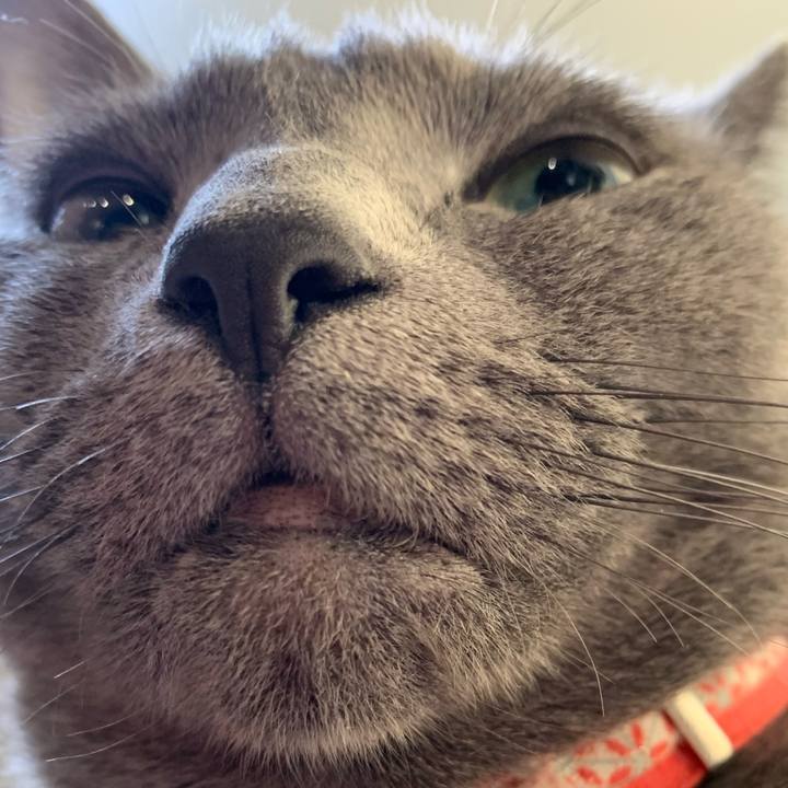 3a78fd7e cf6e 4e99 b1eb bf16440b484c 1613191458182