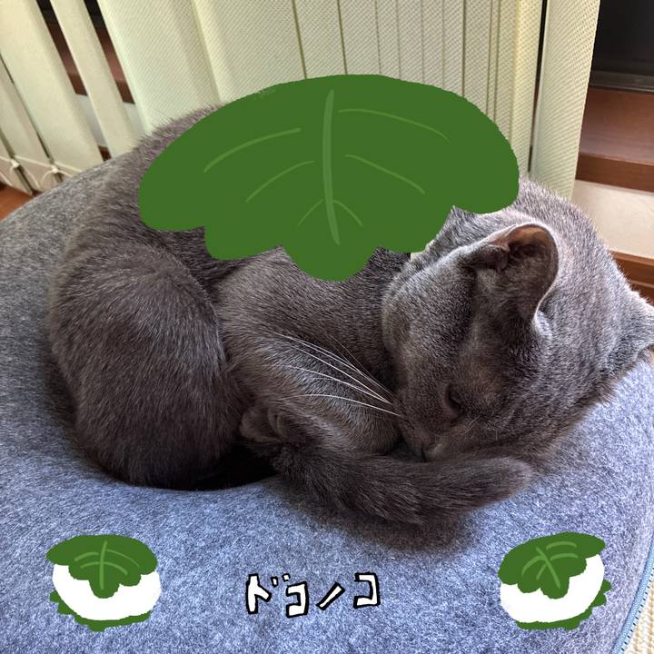 3a791921 7701 4e3e 80c3 d3b77a7693e3 1749099950194