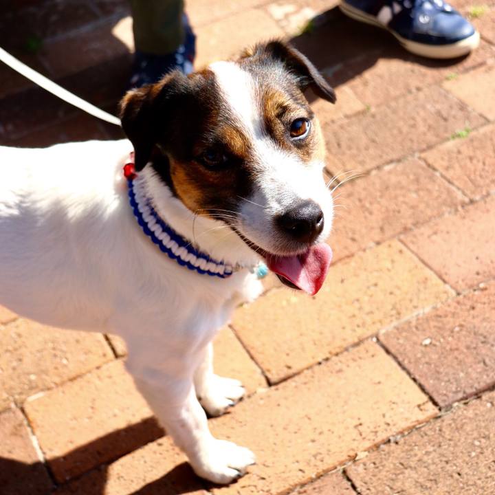 3a795668 b948 4292 90ac 16783dac7921 1552722039184