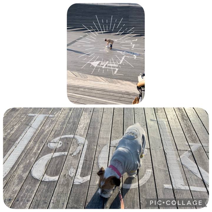 3a796102 9461 4caf abcd 3b9dd85adc62 1613048319807