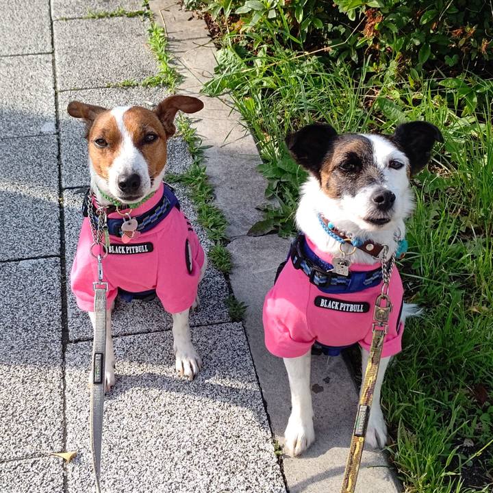 3a797898 68a8 4f58 bb13 aa9b66a65ad3 1654121470634