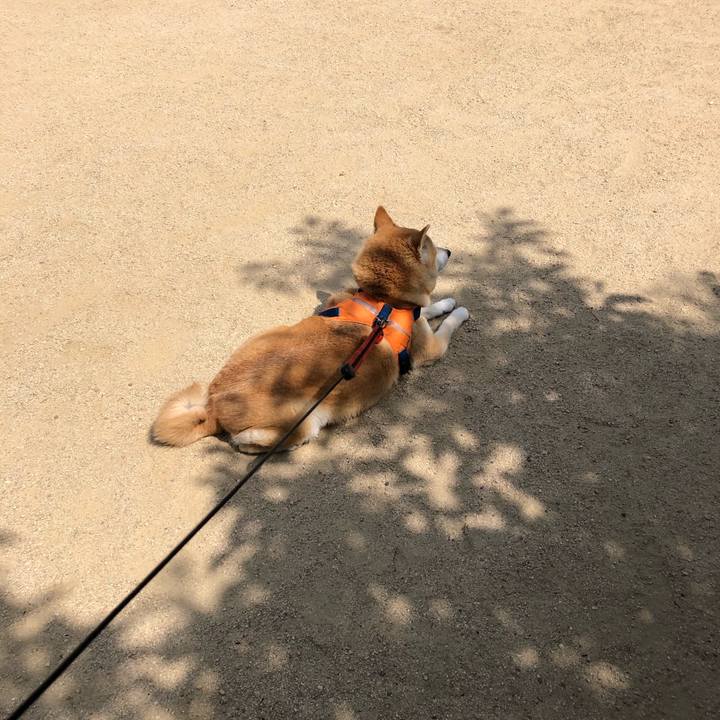 3a7986a9 3a57 44c7 9763 a89fdafee4d4 1589335993974