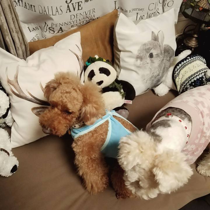 3a799c95 7cd0 46f5 ae22 094038d995cc 1518867397514