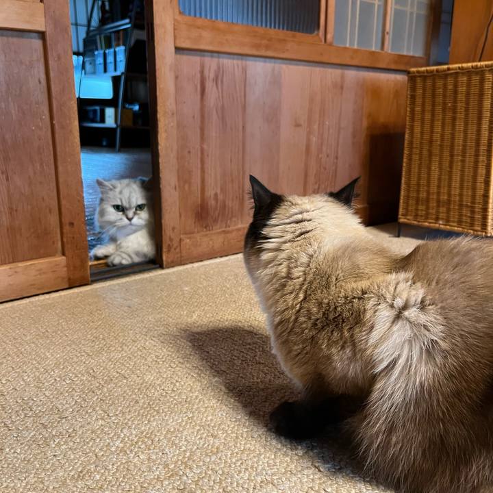 3a799efa ff52 4e10 982e 58c43502df80 1658047507491