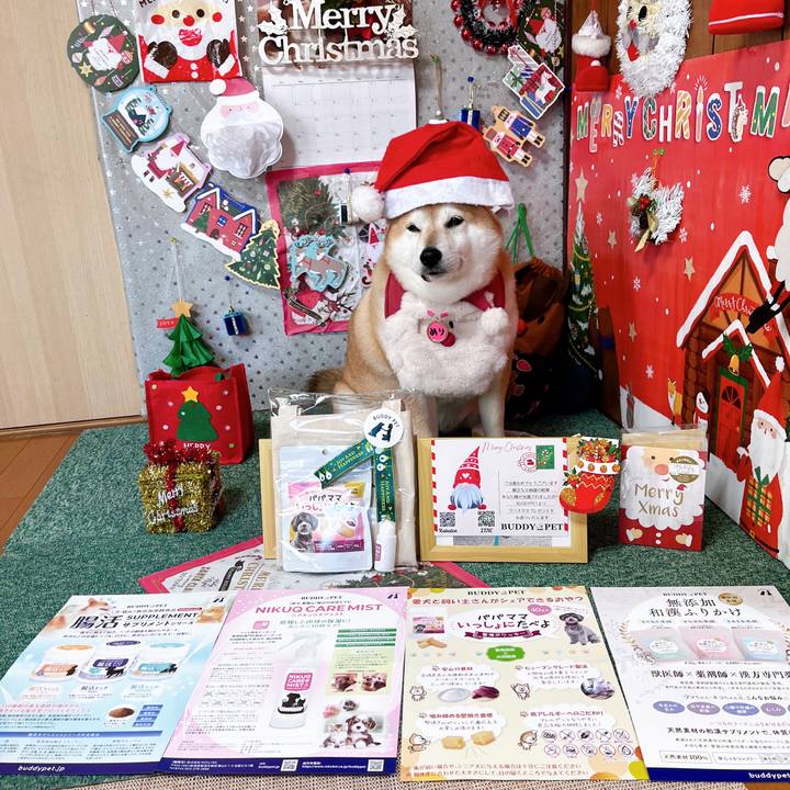 3a79b408 2de4 4054 8343 94b10b4e6ba2 1703404721033