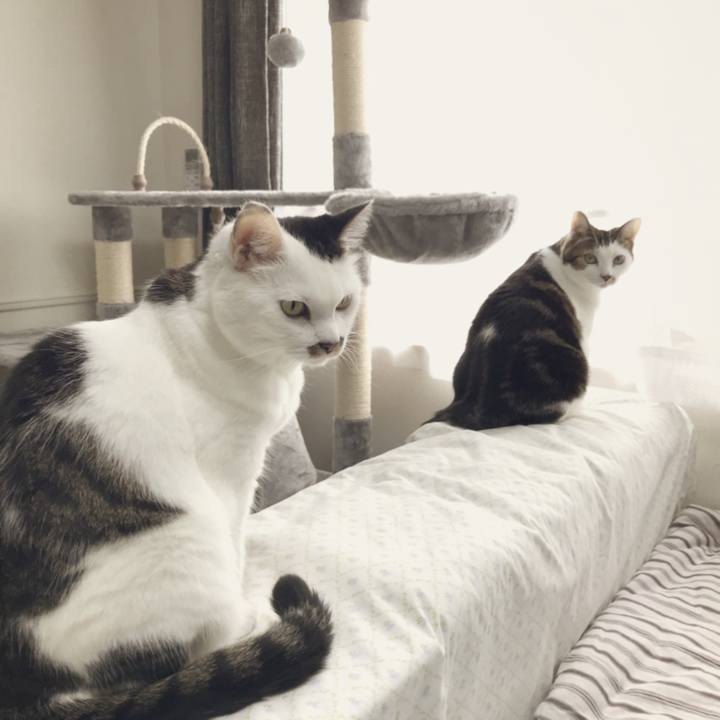 3a79b41a 52df 46fc 9b3d 36750b41695e 1539315048710