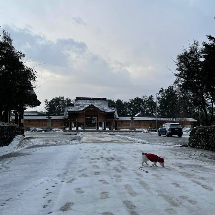 3a79b935 9639 4a4c 85ba 9ef7a137b595 1612394046483