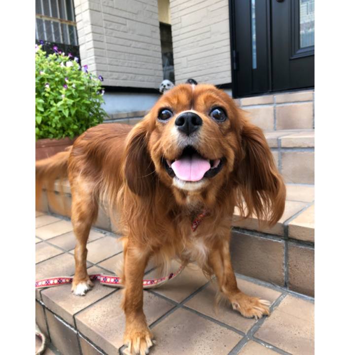 3a7a01da f4ed 4754 90a1 52fed45c13a1 1567814202533