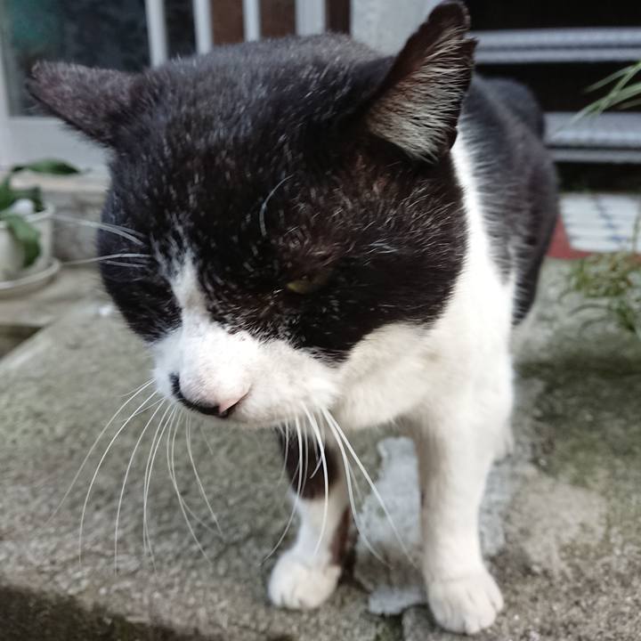 3a7a1006 d110 4cc9 9ed1 43667d2af3b6 1678175879858