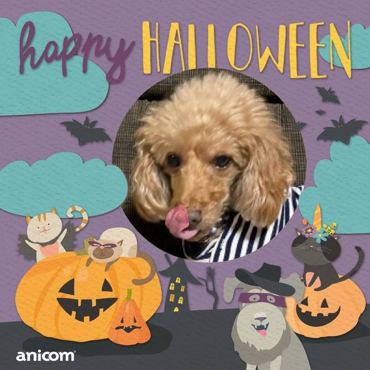 3a7a3722 c2ba 4a06 a4da f9f4daf2c92a 1698215576766