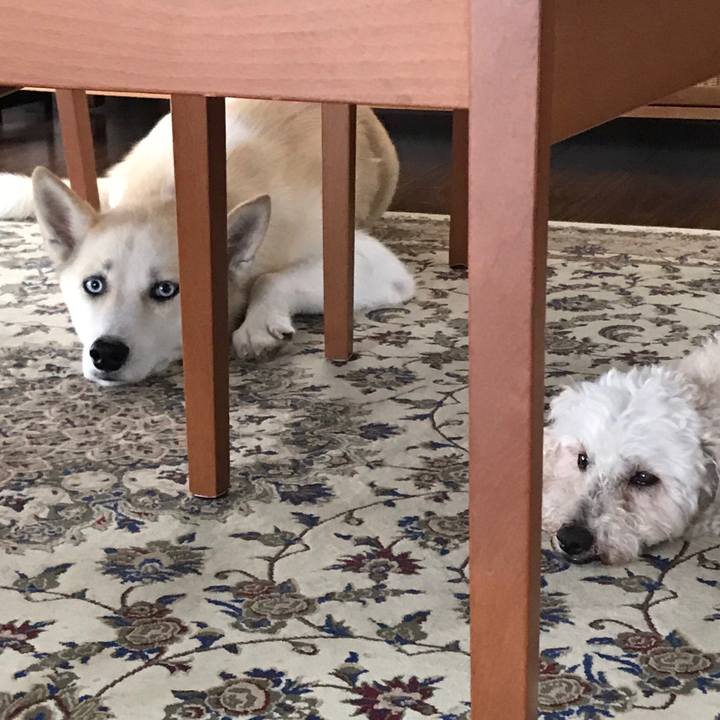 3a7a517f 5a64 4902 8365 e36bf77d1c9b 1531629234357