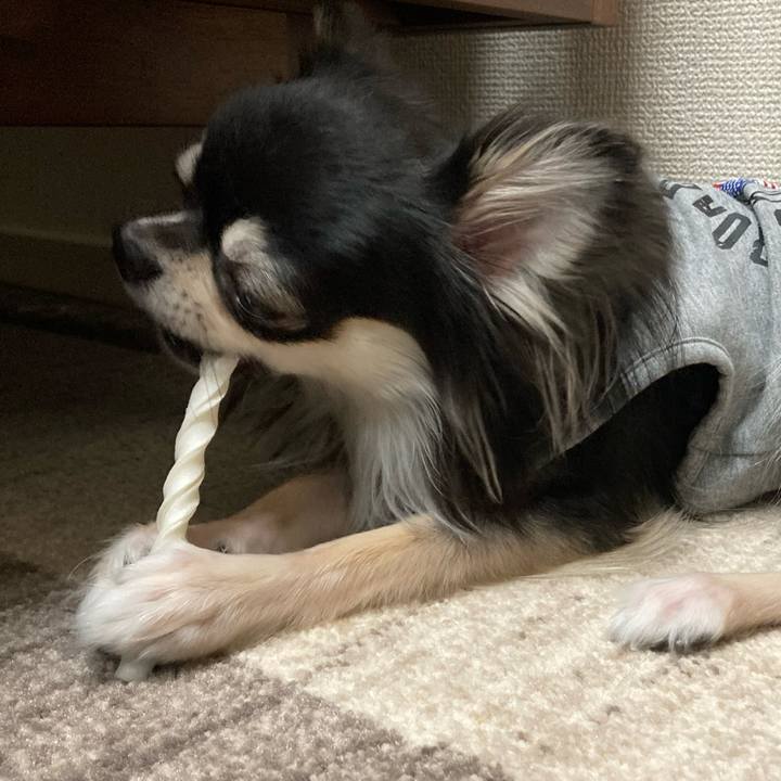 3a7a5af4 04c1 420c ba57 58e2e703ae15 1615727569772