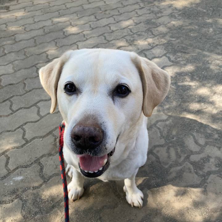 3a7a6d97 0e05 45ee bafd d3a3d3355066 1740880734192