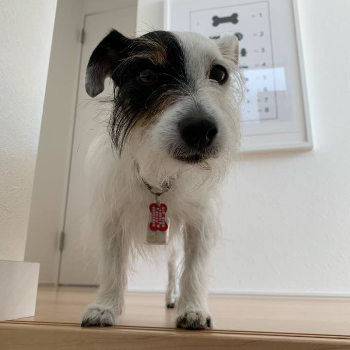 3a7a9c23 75e9 41b3 af4e 499044d9a41b 1681187186517