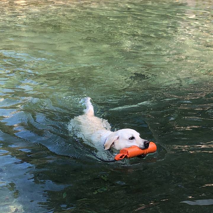 3a7ab340 306a 493a ac29 eed63ffe14f2 1634197372631