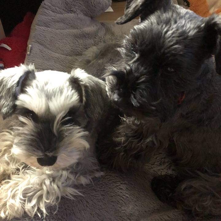 3a7ab6bc 5ef8 4335 b954 286c0c233011 1581736498661