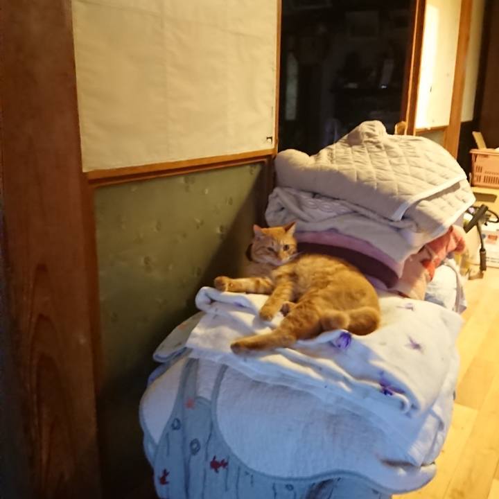 3a7ad733 9e50 4c81 b313 11ce9879896f 1661506753020