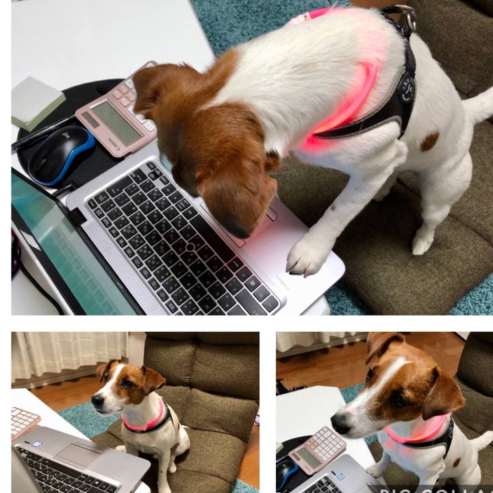 3a7add22 45ae 405c 9497 8f03eca38e03 1589463190590