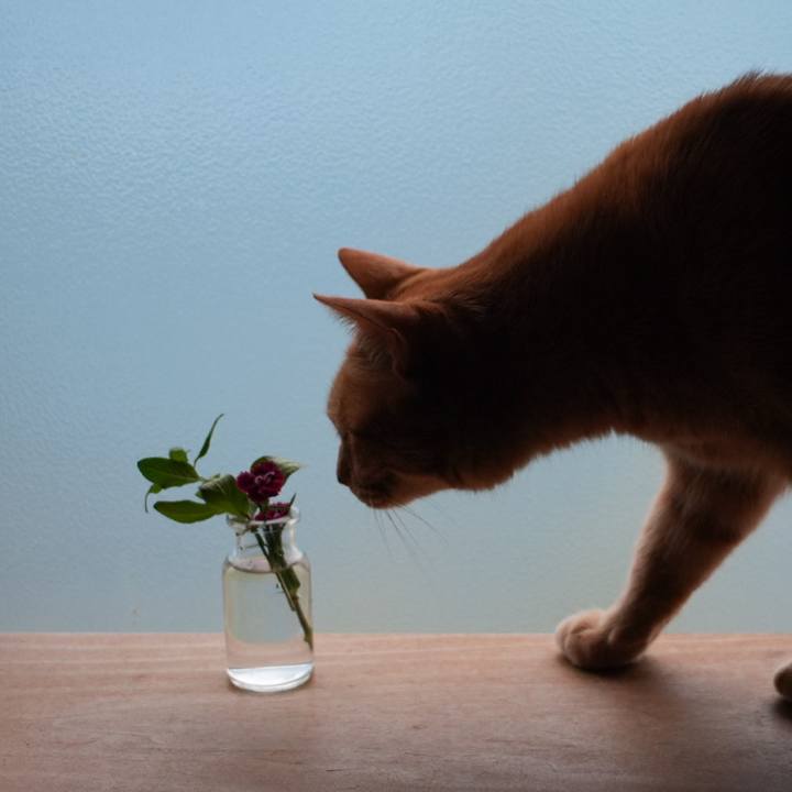 3a7ae66d a1e0 43e2 9ded 5c19049eddc3 1746918259063