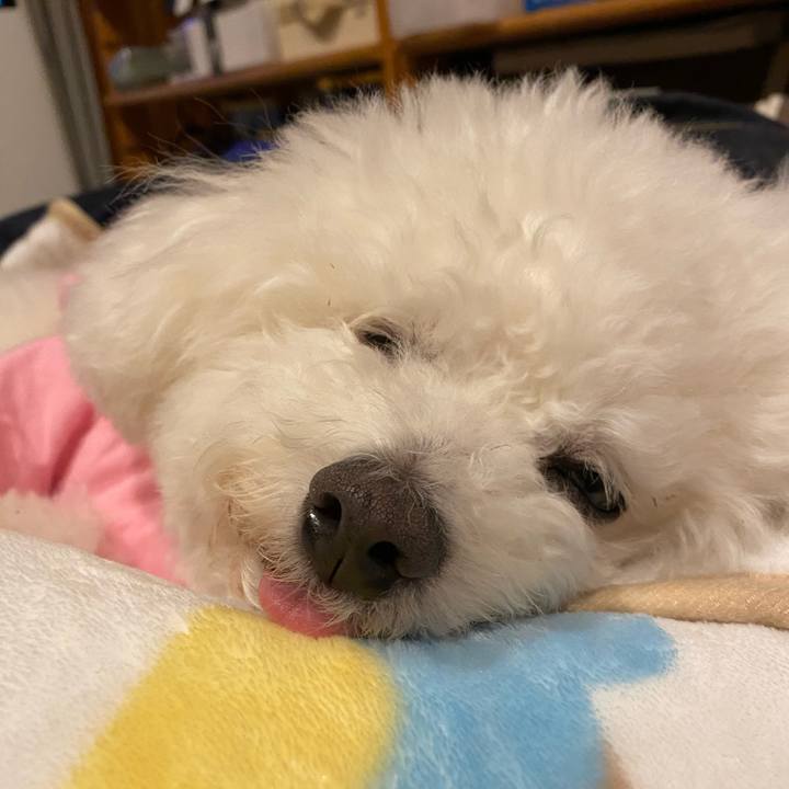 3a7b33fc 0ab0 41a9 9521 1d3bcb5fbbf4 1710416668179