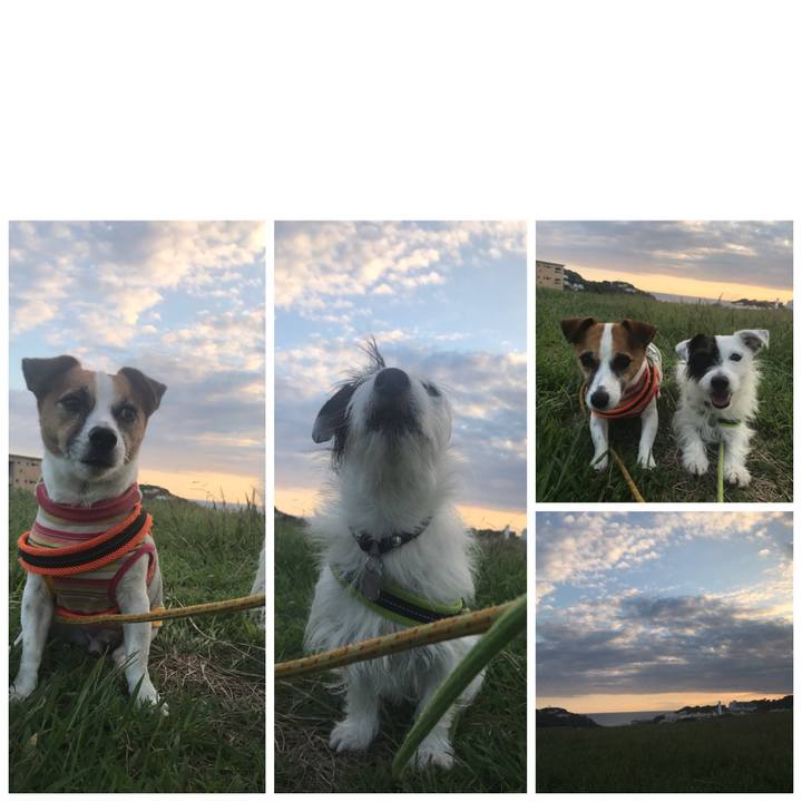 3a7b54b3 c583 4d3a 868a 569d380c0e80 1538124547370