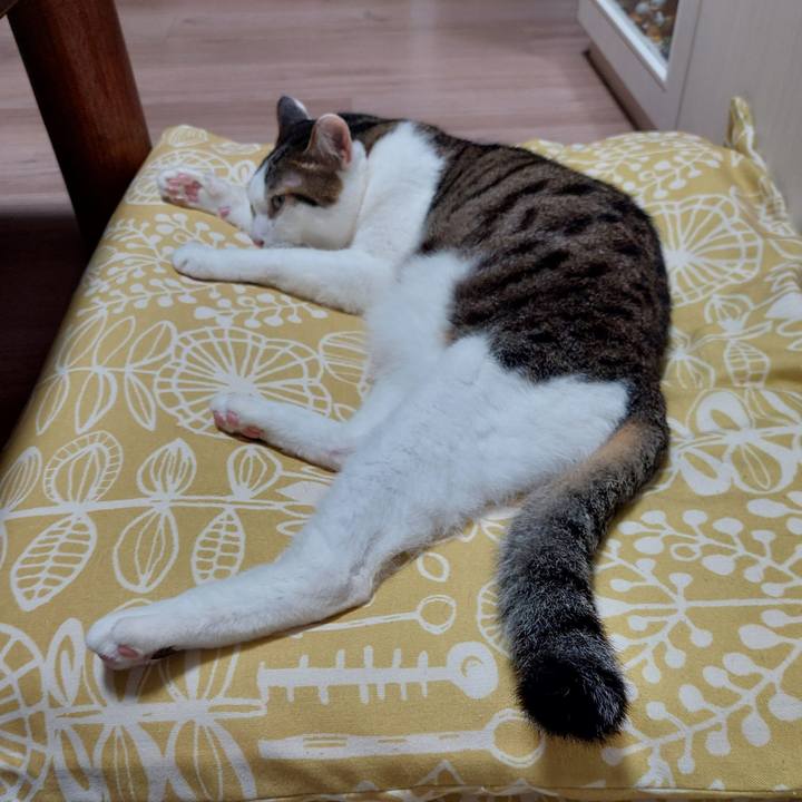 3a7b7998 75ae 4ebe bb5a dfcd4bffb922 1726310416192