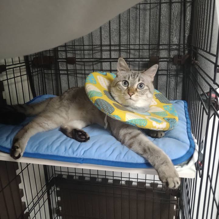 3a7b7b69 1bd4 406a 8c9a 95de37190835 1691493403560