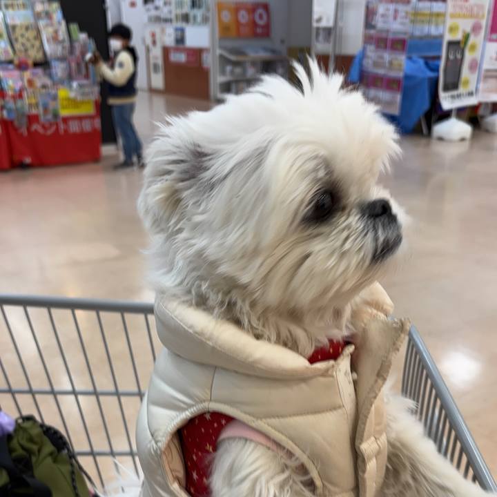 3a7b7e73 9f7e 4e0d b149 456ecc24d166 1738976109546