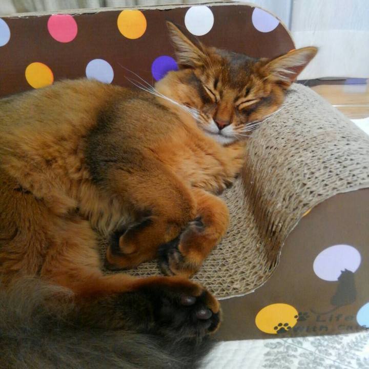 3a7c2c76 aa43 4e33 84b8 9c6ce8e2433c 1578299030424