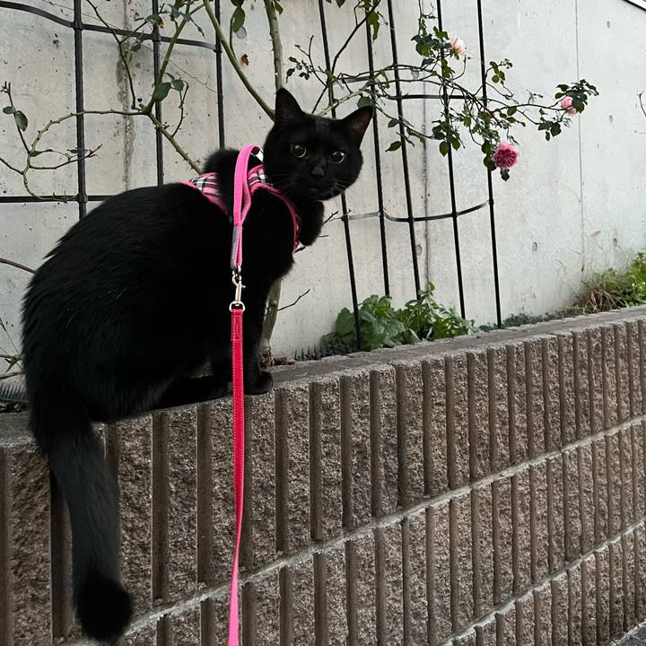 3a7c4968 9881 46d9 80c4 d5640da9e529 1638607259998