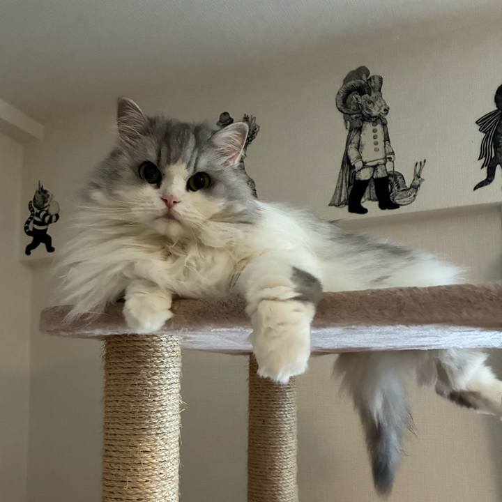 3a7c85d9 72c4 4ff7 a013 e64650c53bad 1765714020959