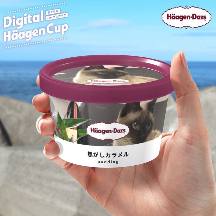 3a7c9669 332e 4482 b0a1 9496992781b6 1607468904231