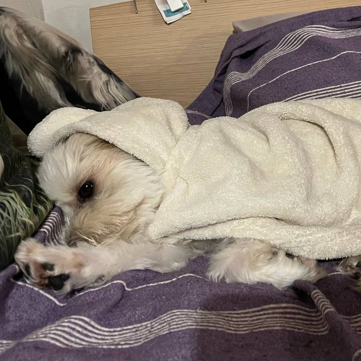 3a7ca39e 3b25 4cdc ade9 f879f8bc4d80 1761472409398