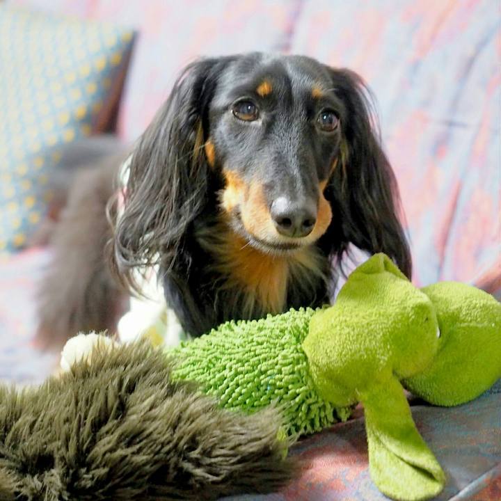 3a7cb77c 558e 48ee ba20 51c51982a6cc 1529286380316