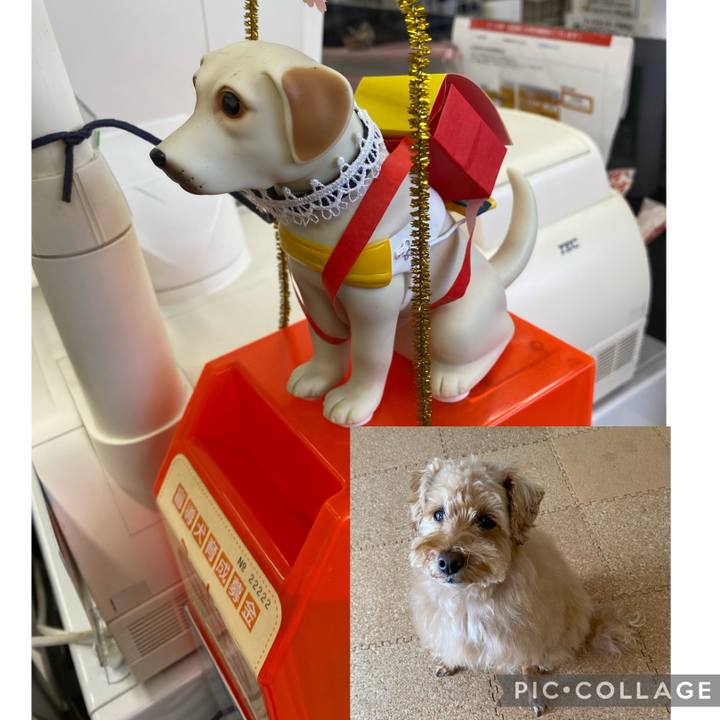 3a7d00f9 4e5e 47f7 9892 e869e5179e2c 1680526974081