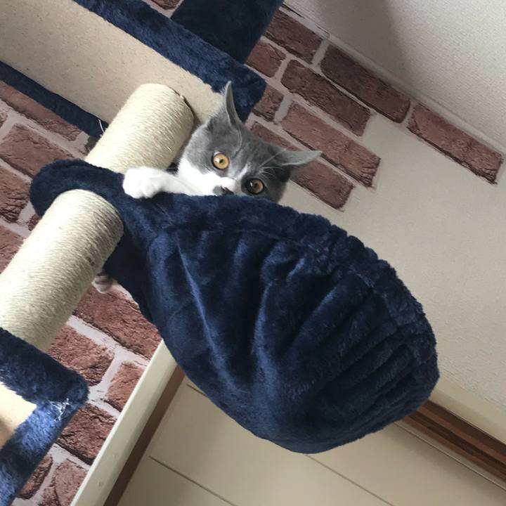 3a7d3944 923a 4f68 9d4c 22bd745208c5 1657797287152