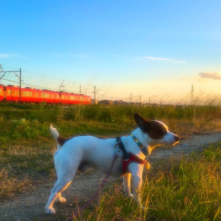 3a7d428e 2f7a 4d48 b26a e5b0ee4c21c6 1510412516767