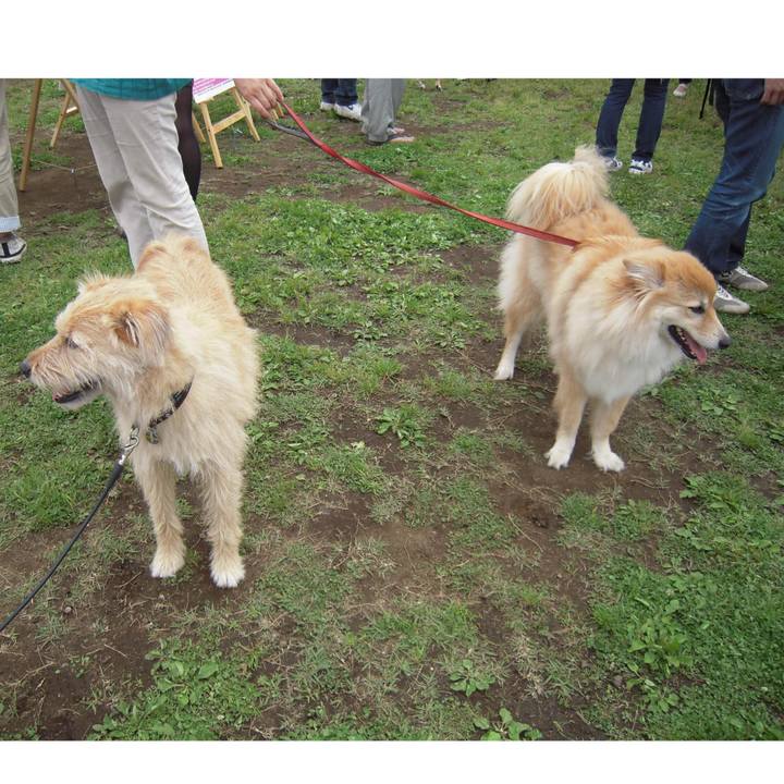 3a7d8865 398c 42bc a7ed ba533923b420 1536932660383