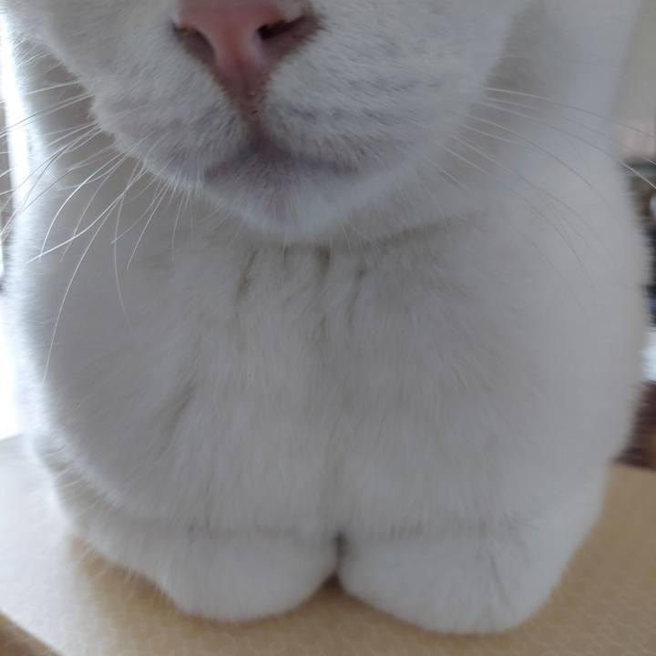 3a7daa53 dba7 40ce 9c8e 67d5141b862a 1682923304583