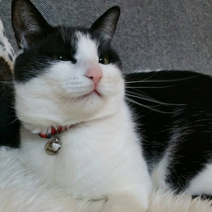 3a7dc987 6d59 4afd 87ae 09b8d3217835 1519772106475