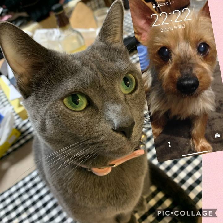 3a7dd22a 9812 47b3 b276 ace2f045e83b 1580650004592