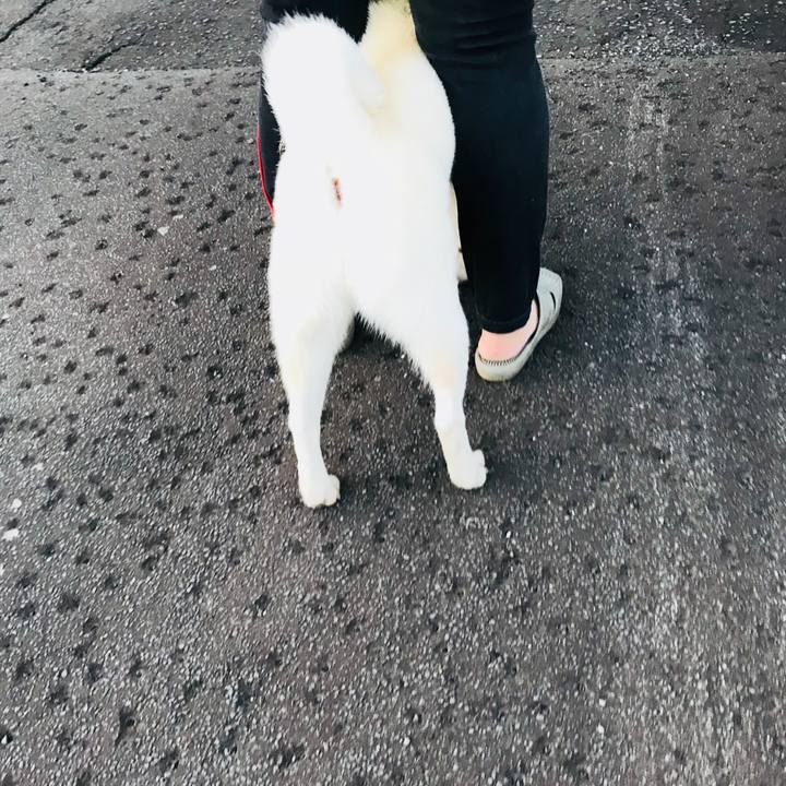 3a7e04da 5a98 410a 98b5 97ba6771f497 1537274909655