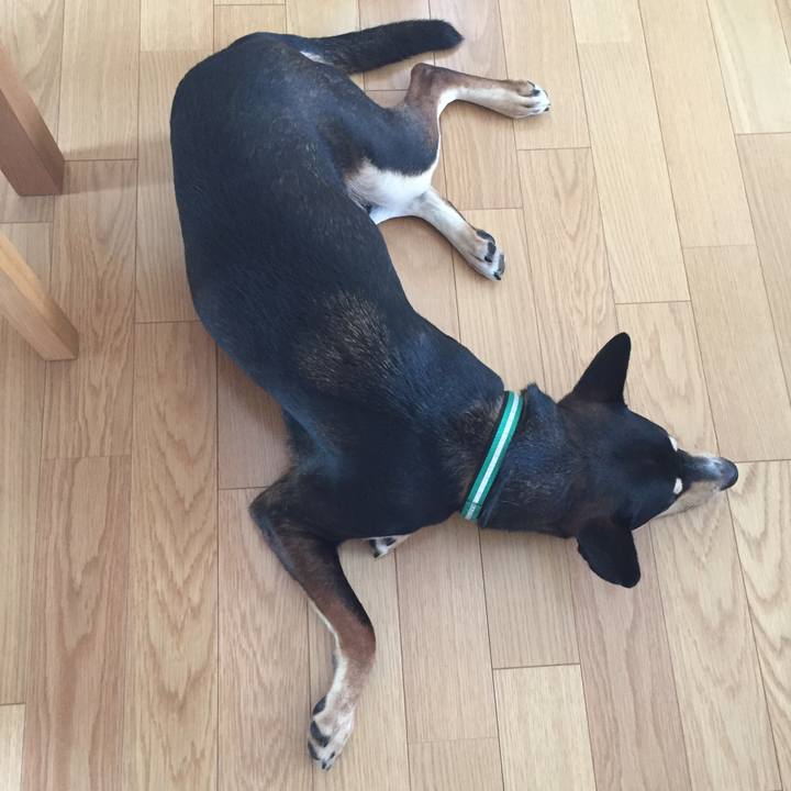 3a7e0797 0303 4060 b1b9 1bf2af47cf61 1531282195316