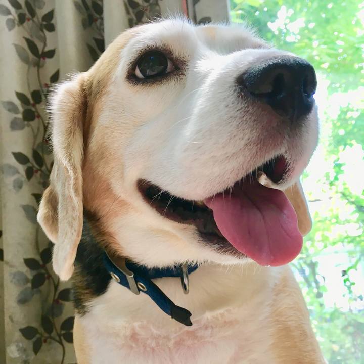 3a7e0bbf 93e6 46f1 86f2 7e0aae69e8de 1558852651200