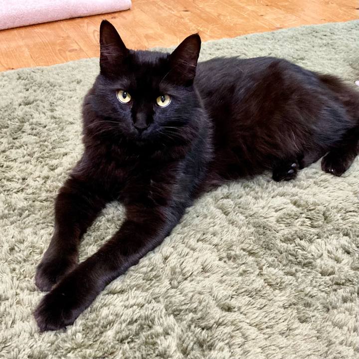 3a7e2c16 b0e5 4168 863e 69f697cce01a 1729593651801