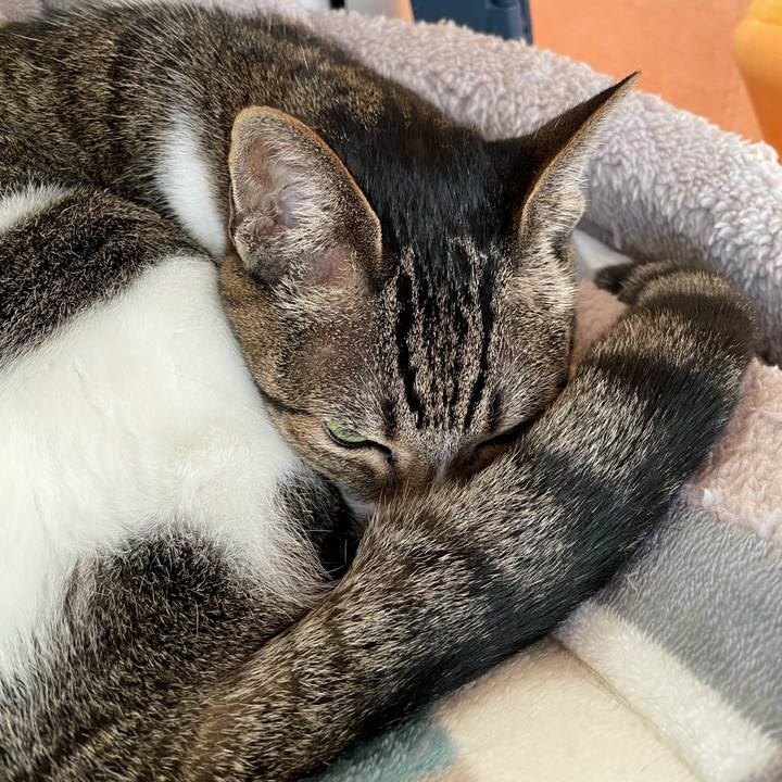 3a7e2cb6 b061 4eb5 8678 498c57440cec 1613353274781