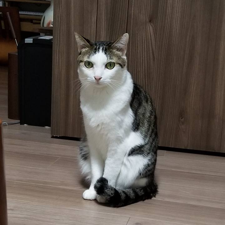 3a7e3442 a623 47f2 8208 ba6ba189ee47 1551958545215