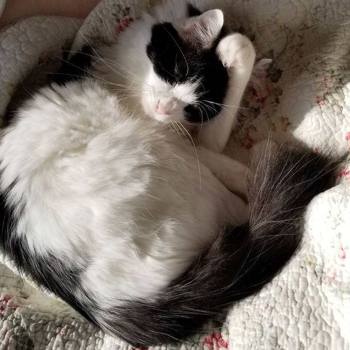 3a7e6670 9929 4ae9 9d79 769f1ae2784a 1584600178666