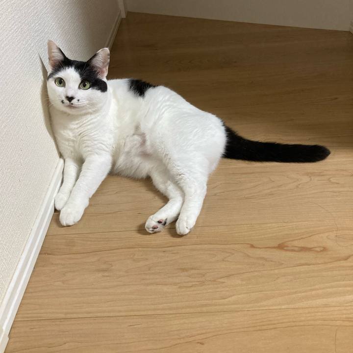 3a7e7c0a 7831 4721 883c 2dafe7b51715 1758139842610