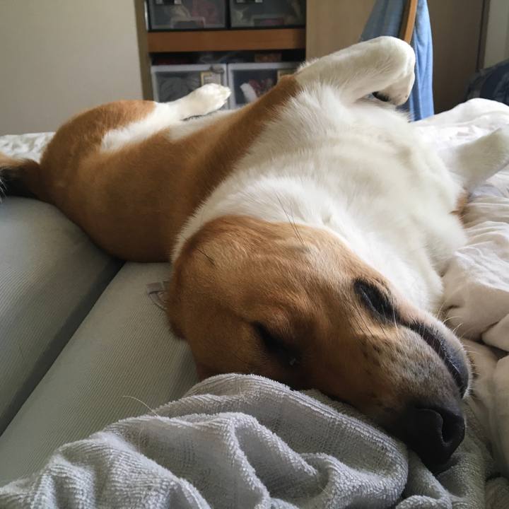 3a7e8293 9f33 46c3 9de7 b0a89dc4fb13 1632357098314